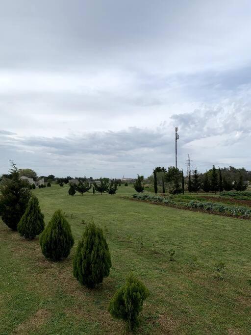 Fraschi Countryhouse Carpignano Salentino Bagian luar foto